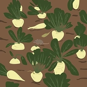 Ilustrace do publikací/obrázkových statistik Národního zemědělského muzea – Půda, Voda a Potraviny. Kresba s myší pobýhaící v řepném poli.
